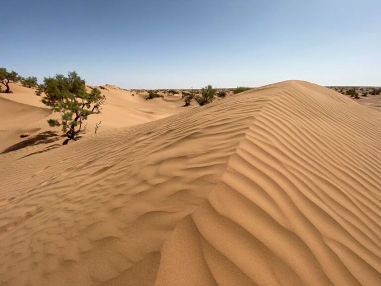 From Agadir/Taghazout: Sahara Sand Dunes with Transfer - What’s Included and How It Matters