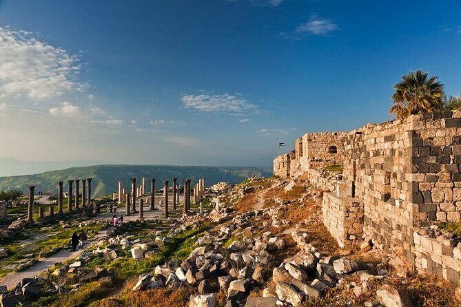 From Amman: Private Full Day Tour Jerash Ajloun & Um Qais - What Makes This Tour Stand Out?