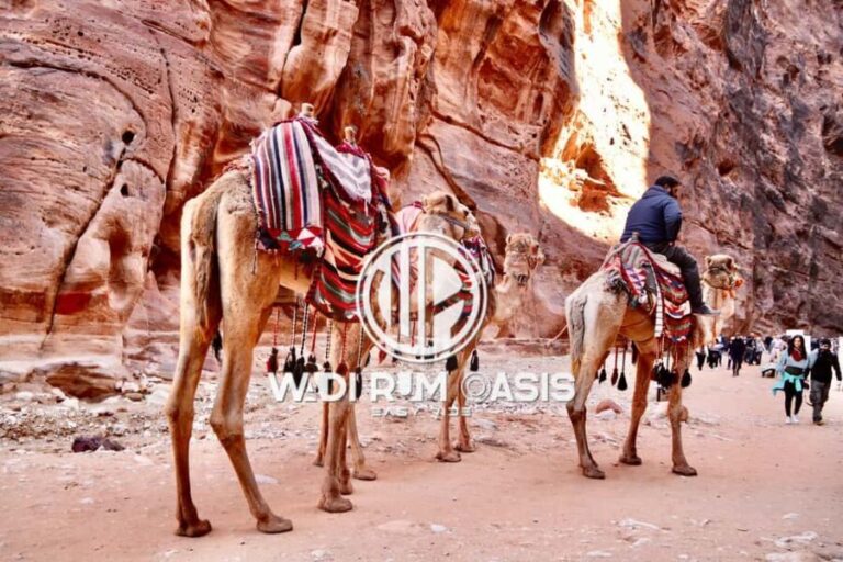 From Amman Visit Petra One Day Private Tour - Exploring Petra’s Most Famous Attractions