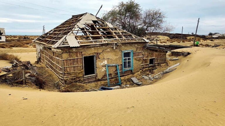 From Aralsk: 2-Day Aral Sea, Akespe and Kokaral dam Tour - What’s Included and What’s Not