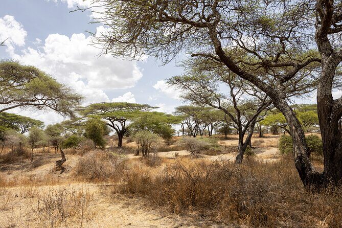 From Arusha : 11-day Amazing North Tanzania safari tour - FAQs