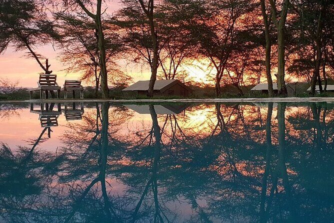 From Arusha: 11 Days famous Serengeti Inside out safari trip - Who Should Consider This Safari?