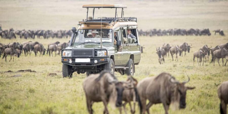 From Arusha: 4-Day Serengeti National Park Safari - What’s Included and What to Consider