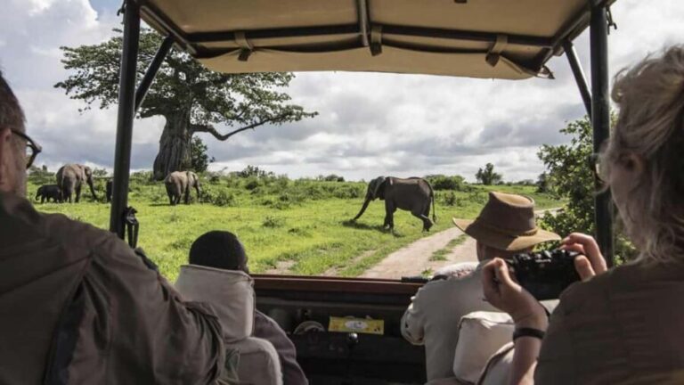 From Arusha: 7-Day Luxury Safari to Lake Manyara & Serengeti - What Makes This Tour Stand Out?