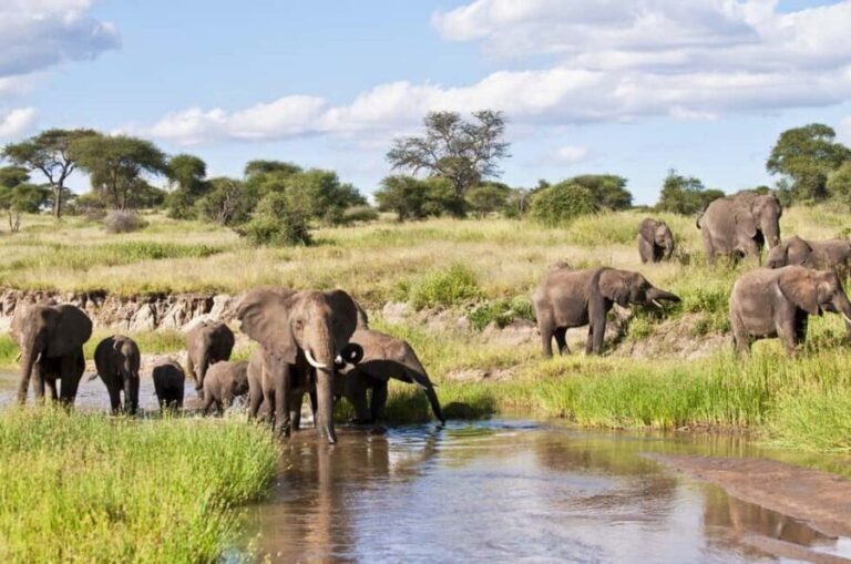 From Arusha: 8-Day Serengeti Wildbeest Migration Safari - Exploring the Itinerary in Detail