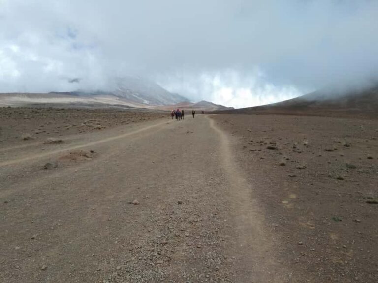 From Arusha: Day trip Marangu Cultural Guided Walking,Chaga - FAQ