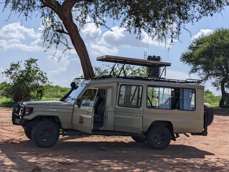 From Arusha: Materuni Waterfalls and Chagga Culture Day Trip - An In-Depth Look at the Materuni and Chagga Tour