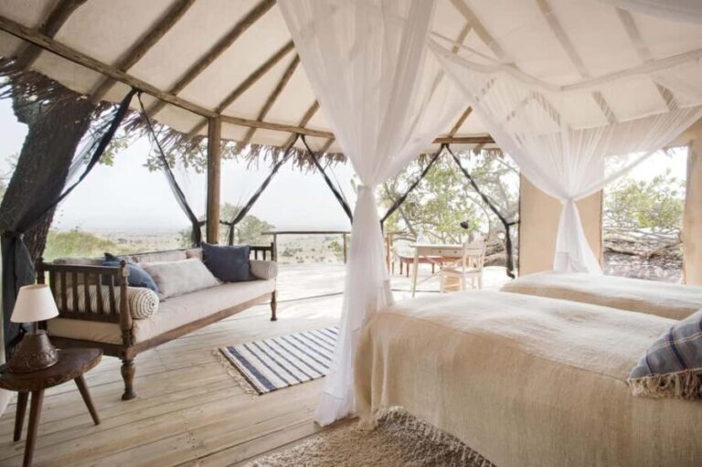 From Arusha: Safari in Serengeti, Tarangire, and Ngorongoro - What We Loved About the Experience