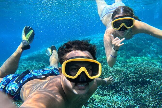 From Bali: Nusa Penida Full Day Tour and Snorkeling - Authentic Experiences and Traveler Insights