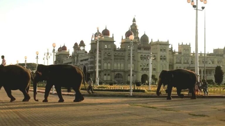 From Bangalore : Mysore Sightseeing full day tour - Detailed Breakdown of the Itinerary
