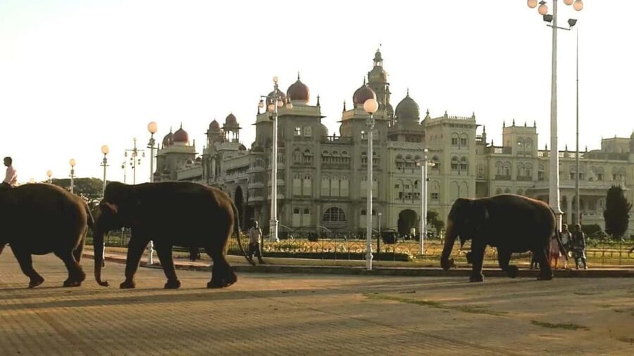 From Bangalore : Mysore Sightseeing full day tour - Detailed Breakdown of the Itinerary