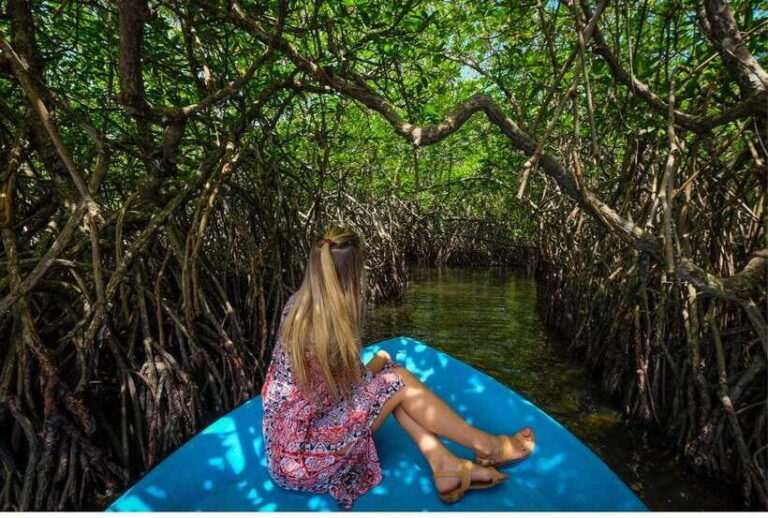 From Bentota: Exclusive Madu River Safari & Turtle Hatchery - How This Tour Delivers Value