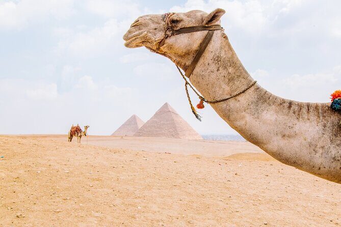 From Cairo: Private Crowd Free Half Day Pyramids Adventure - Practical Details