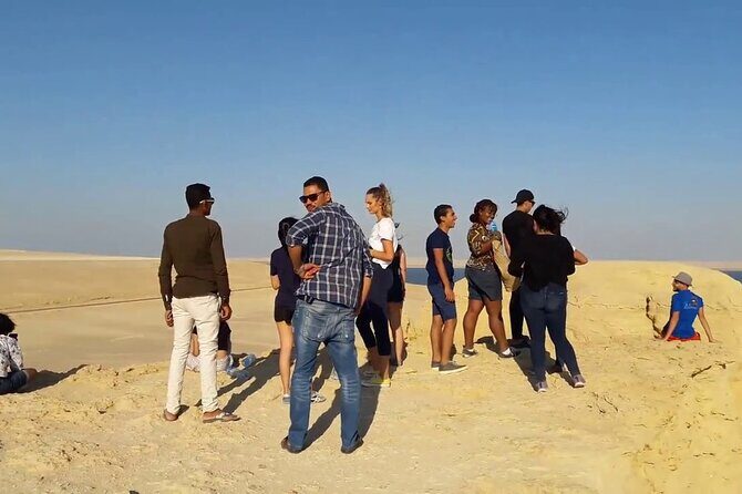 From Cairo to Whales Valley and Wadi El Rayan Waterfalls - Transportation and Price