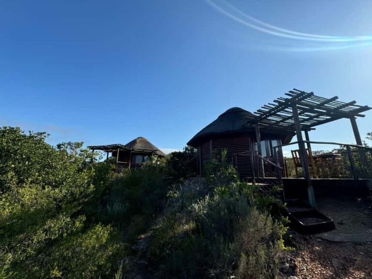 From Cape Town: 2-Day Garden Route Safari (Bonus: Penguins) - The Sum Up