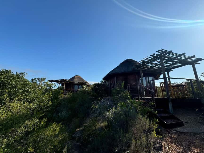 From Cape Town: 2-Day Garden Route Safari (Bonus: Penguins) - The Sum Up