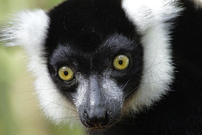 From Cape Town: 2-Nights, 3-Days Garden Route private tour - Final Thoughts