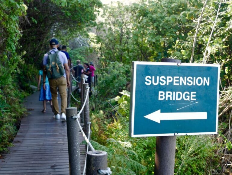 From Cape Town: 5-Day Best of Garden Route and Addo Safari - Day 2: From Oudtshoorn to Addo Elephant National Park