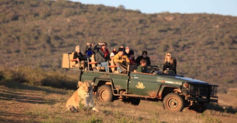From Cape Town: 5-Day Garden Route & Addo Elephant Park Tour - Who Should Consider This Tour?
