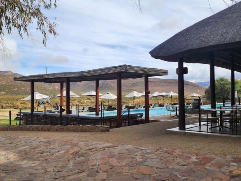From Cape Town Aquilla sunset safari With transport included - Practical Tips for a Smooth Experience