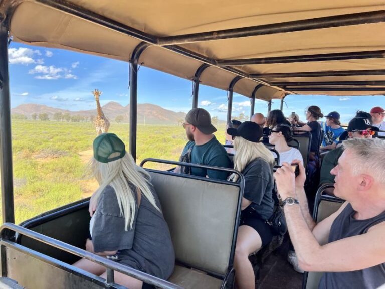 From Cape Town: Big Five Safari Experience with Lunch - Analyzing the Real Value