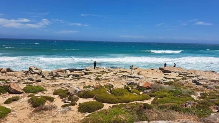 From Cape Town: Cape Peninsula Full-Day Private Tour - The Experience from a Traveler’s Perspective
