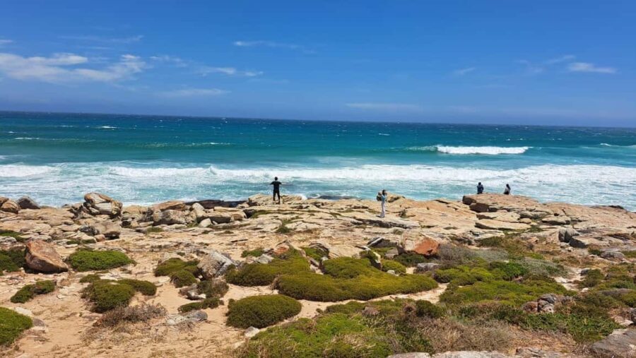 From Cape Town: Cape Peninsula Full-Day Private Tour - The Experience from a Traveler’s Perspective