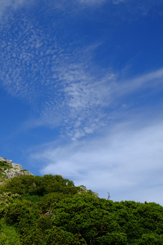 From Cape Town: Cape Point and Boulders Beach Half-Day Tour - What the Reviews Say