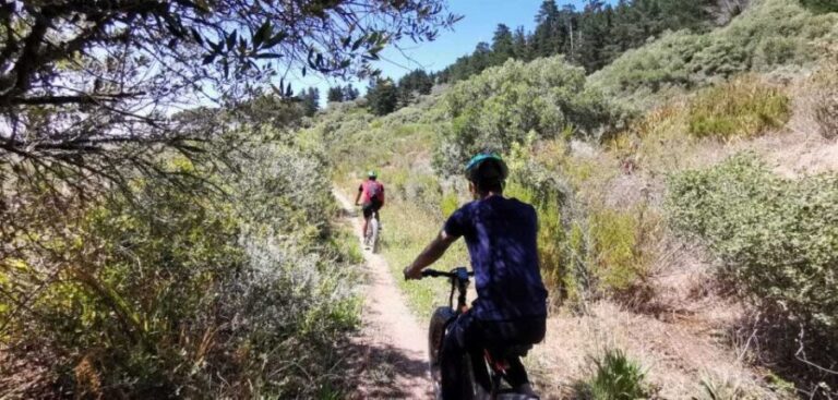 From Cape Town: E-Bike Winelands Tour - What Makes This Tour Stand Out?