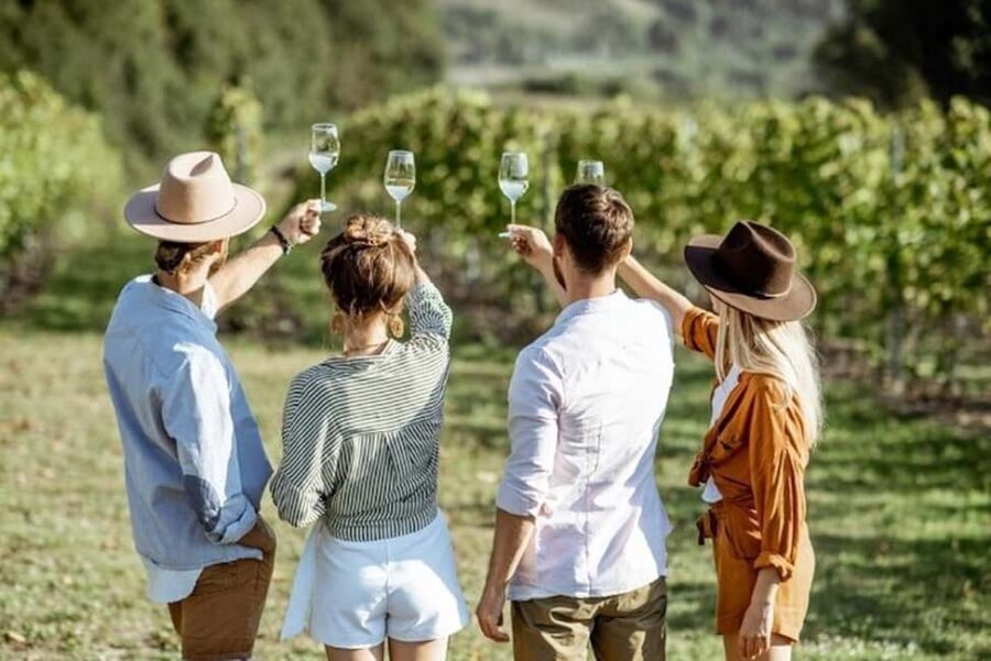 From Cape Town: Full-Day Cape Winelands Taste Tour + Tram - The Value of the Tour
