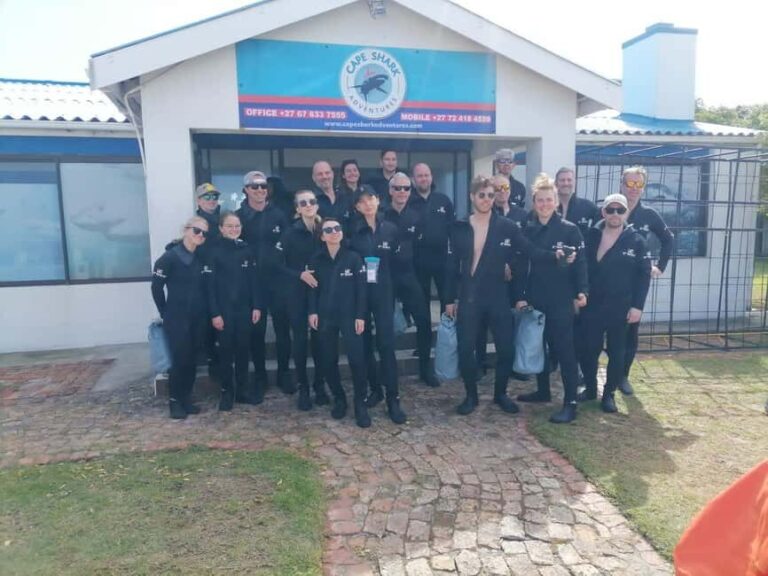 From Cape Town: Gans Bay Shark Cage Diving - The Value of the Experience
