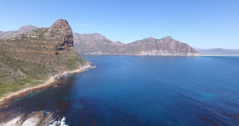 From Cape Town: Glass-Bottom Boat Seal Watching Tour - Authentic Encounters and Honest Reviews