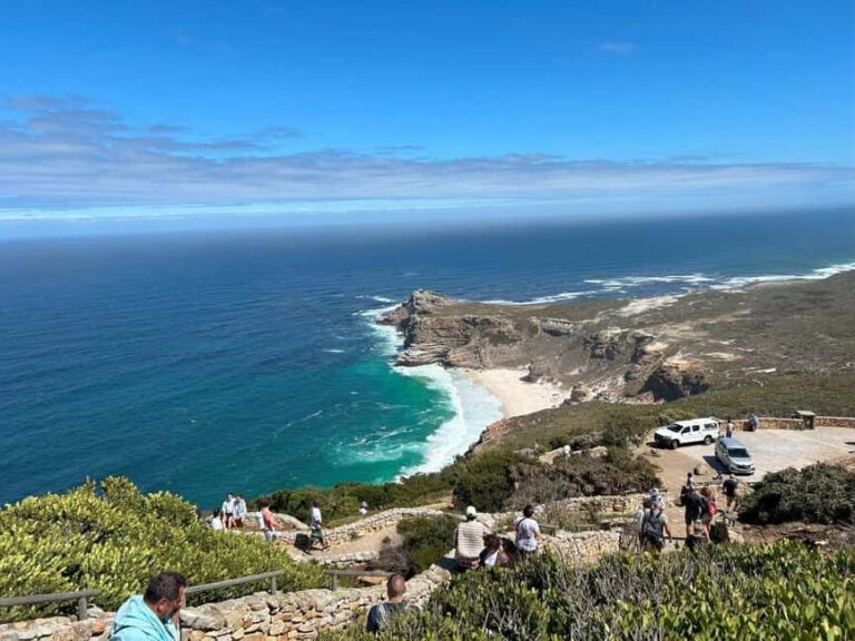 From Cape Town: Half Day Cape Point & Penguins Tour - The Wildlife and Nature Experience