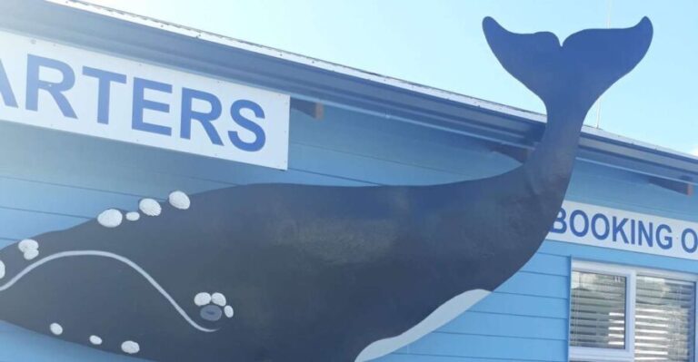 From Cape Town: Hermanus Whale Watching Tour with Transfer - The Realities: Benefits and Drawbacks