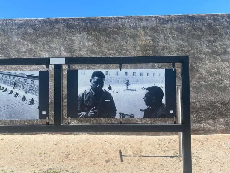 From Cape Town: Robben Island & Table Mountain Full-Day Tour - A Detailed Breakdown of the Experience