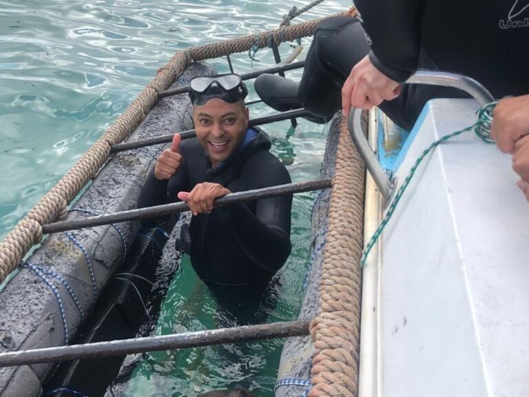 From Cape Town: Shark Cage Diving and Viewing - What Makes This Tour Stand Out?