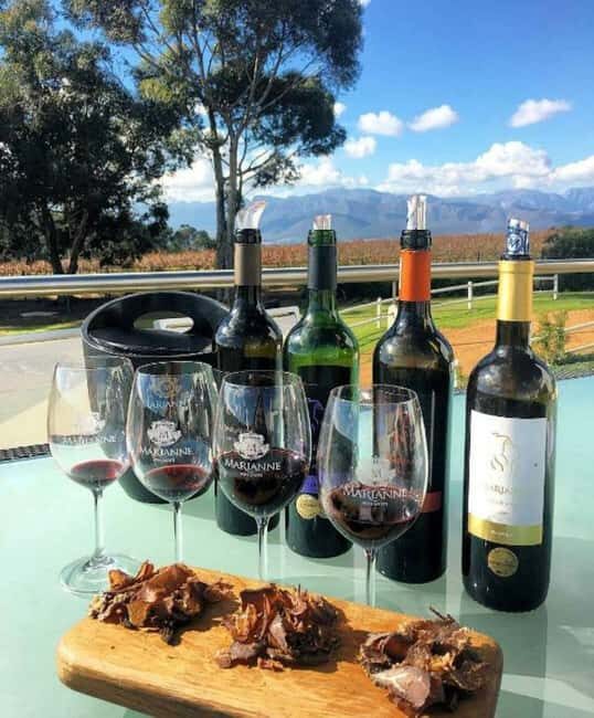 From Cape Town: Winelands Day Trip w/ Wine & Cheese Tastings - Transportation and Group Dynamics