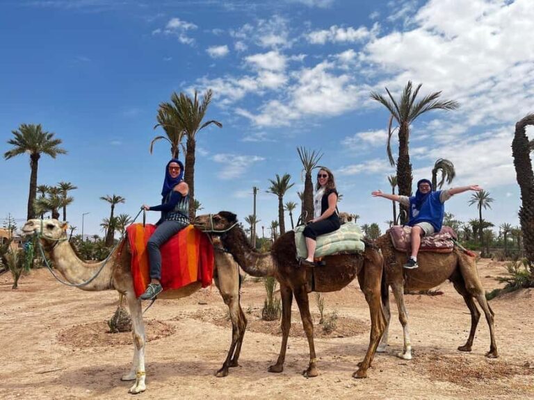 From Casablanca: Marrakech City Tour with Camel ride - Exploring Marrakech in a Day: What to Expect