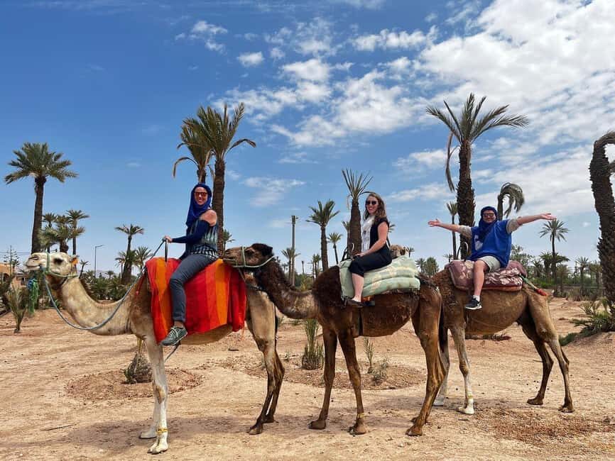 From Casablanca: Marrakech City Tour with Camel ride - Exploring Marrakech in a Day: What to Expect