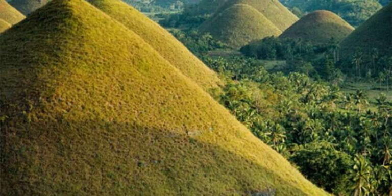 From Cebu: Full-Day Bohol Excursion - Practical Details and Tips