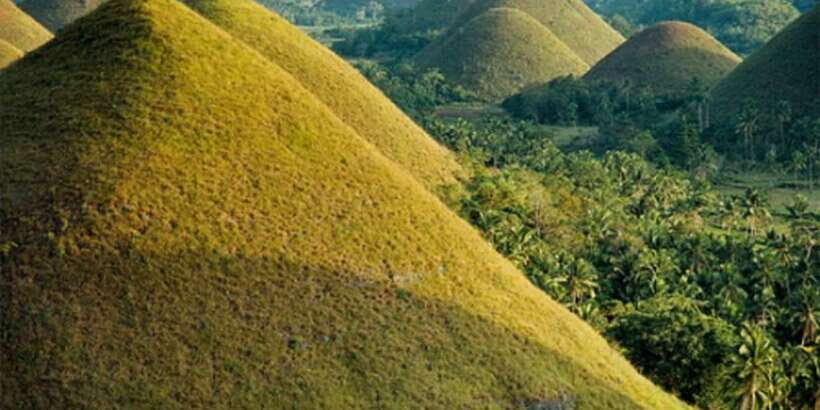 From Cebu: Full-Day Bohol Excursion - Practical Details and Tips