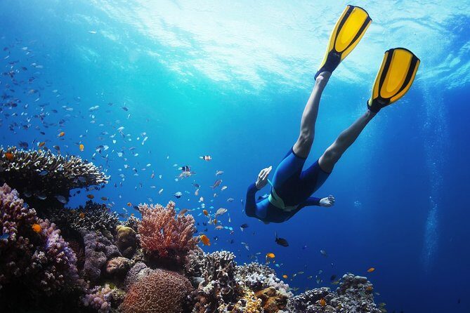 From Cebu: Island Hopping to 3 islands with BBQ lunch - The Itinerary in Detail