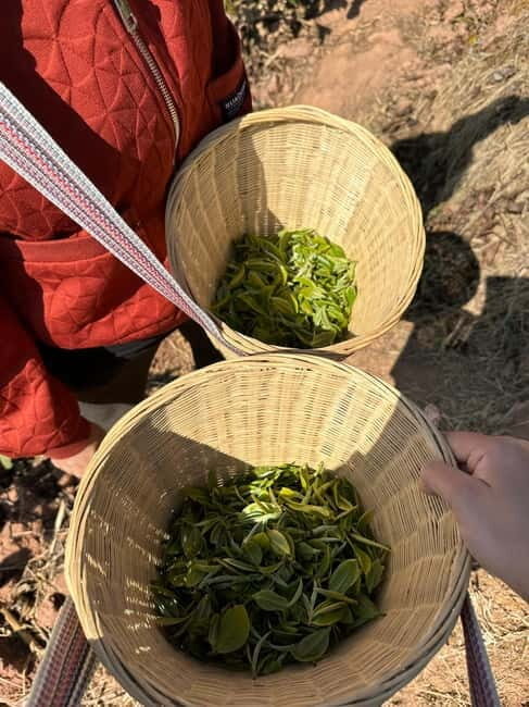 From Chengdu: Tea Garden, Bamboo Weaving & Ancient Town Tour - What to Expect on This Cultural Day Trip