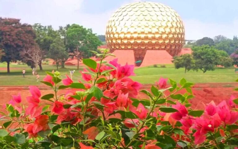 From Chennai: Private Pondicherry & Auroville Day Tour - Practical Details and Tips