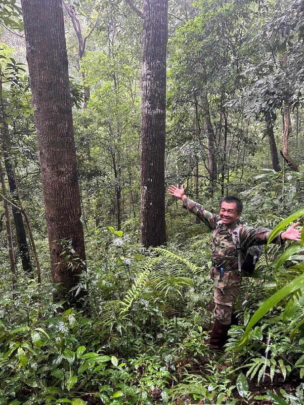 From Chiang Mai: Doi Saket Hiking Tour with Lunch - The Value of This Tour