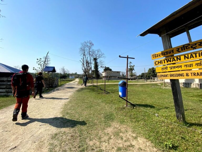 From Chitwan : Half Day Jeep Safari Tour - Is It Worth the Price?