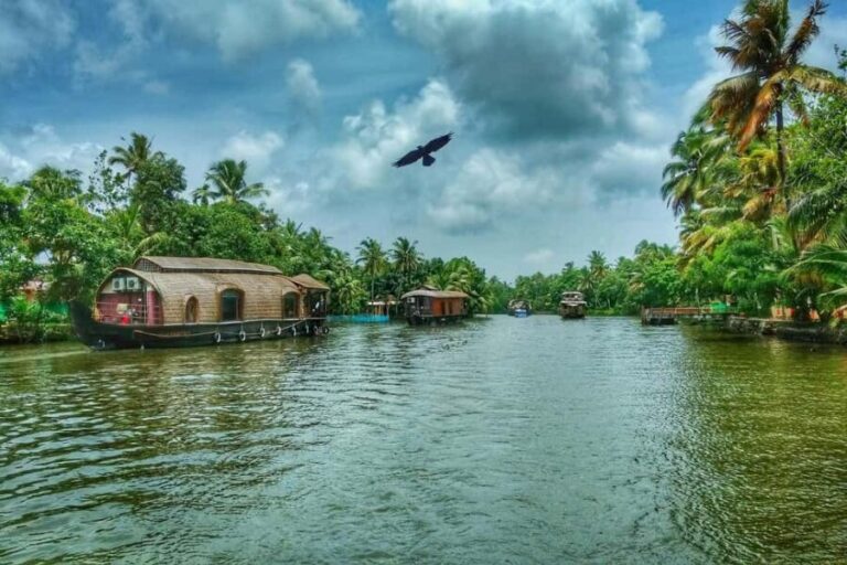 From Cochin: Alleppey Houseboat Day Tour with Lunch - The Itinerary in Detail