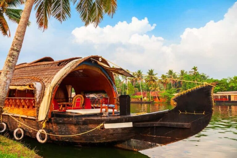 From Cochin: Day Tour of Alleppey House Boat - The Value of This Tour