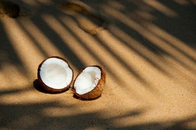 From Colombo: 10 Day Sri Lanka Tour with Guide and Hotel - Why This Tour Offers Value