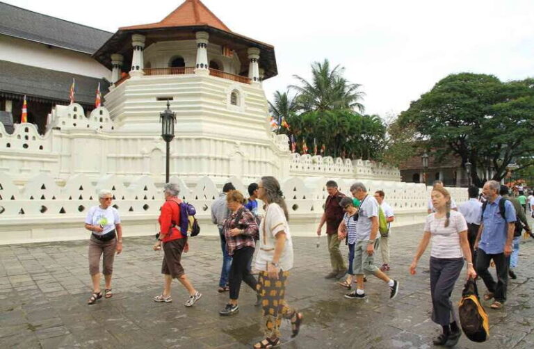 From Colombo: 2-Day All-Inclusive Kandy & Nuwara Eliya Tour - Transition to Kandy: Sacred Temples and Botanical Gardens